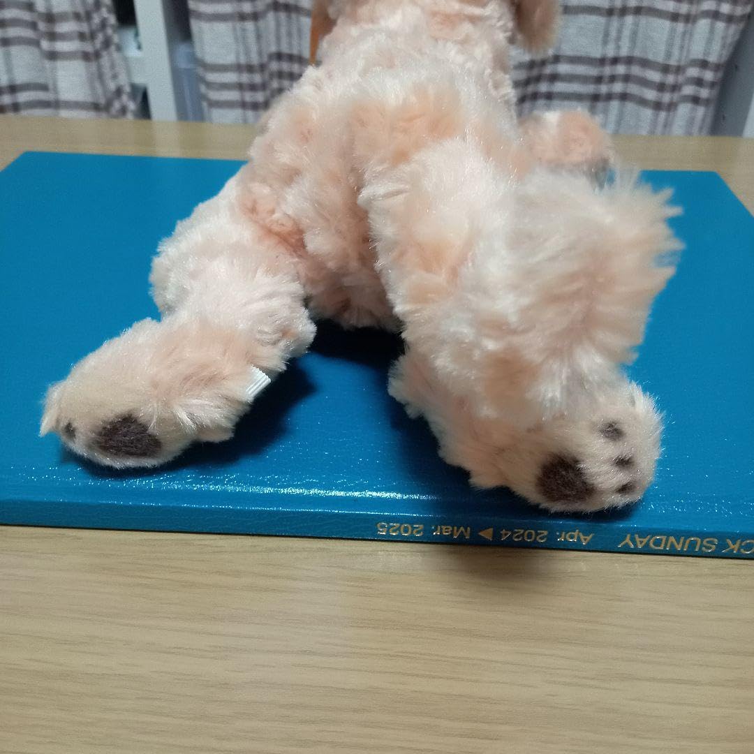 Amazon.co.jp: シュタイフ ゴールデンレトリバー ぬいぐるみ